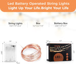1_Pack_16.4ft_Battery_Operated_String_Lights_with_Timer,_Warm_White_with_Synchronized_Twinkle_Mode,_Fairy_Lights_Battery_Powered,_50_LEDs,_Idea_for_Christmas_Bedroom_Party_Wedding