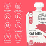 Serenity_Kids_6+_Months_Baby_Food_Pouches_Puree_Made_With_Ethically_Sourced_Meats_&_Organic_Veggies_|_3.5_Ounce_BPA-Free_Pouch_|_Wild_Caught_Salmon,_Butternut_Squash,_Beet_|_1_Count