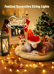 Battery_Operated_Christmas_String_Lights,_LED_Mini_Lights_with_Timer,_Christmas_Tree_Lights_for_Indoor_Outdoor_Bedroom_Wedding_Party_Holiday_Xmas_Decoration