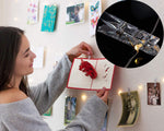 17Ft_50_LED_Fairy_String_Lights_with_Clear_Clips_-_Perfect_for_Dorm,_Bedroom,_Wedding_Decor