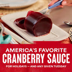 Ocean_Spray_Jellied_Cranberry_Sauce,_Canned_Side_Dish,_14_Oz_Can_(Pack_of_1)