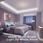 dalattin_White/Warm_White_LED_Strip_Lights,_16.4FT/20FT/40FT/50FT_Dimmable_Super_Bright_24V_Led_Tape_Light_6500K_360_LEDs_Lights_for_Bedrooms,_Mirror,_Kitchen,_Home_Decoration