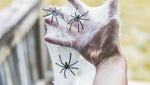 Happy_Hippo_Halloween_Spider_Web_Decoration,_200_Sqare_Feet_&_Plastic_Spiders,_Halloween_Party_Supplies,_Spider_Webs_(Small,_200_Sq_Feet)_(8_Fake_Spiders_Included)