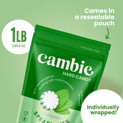Cambie_Sugar_Free_Mints,_1_lb_of_Sugar_Free_Hard_Candy,_Spearmints_Individually_Wrapped_with_a_Refreshing_&_Sweet_Spearmint_Flavor,_Packaged_Fresh_in_a_Resealable_Pouch