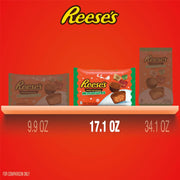 REESE'S_Miniatures_Milk_Chocolate_Peanut_Butter_Cups,_Christmas_Candy_Bag,_17.1_oz