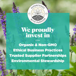 Navitas_Organics_Chia_Seeds_–_For_Chia_Pudding,_Smoothies,_Baking,_Salads_&_More_–_Omega_3,_Fiber,_Minerals_-_USDA_Organic,_Non_GMO,_Kosher,_Gluten_Free,_Keto_(8oz._Bag,_8_Servings)