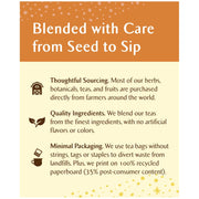 Celestial_Seasonings_Tea_Bags_Sweet_Harvest_Pumpkin_Black_Tea_18_Count