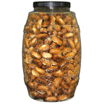 Utz_Sourdough_Nuggets_Pretzels_–_52_oz._Barrel_–_Bite-Size_Pretzels_with_Classic_Sourdough_Flavor,_Perfectly_Salted_with_Zero_Cholesterol_per_Serving