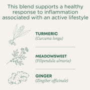 Traditional_Medicinals_Organic,_Turmeric_Tea_with_Ginger_&_Meadowsweet_-_Supports_Normal_Response_to_Inflammation_-_Kosher,_Non-GMO,_Caffeine-Free,_Compostable_-_16_Tea_Bags