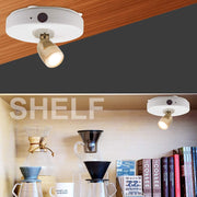 BIGLIGHT_Spotlight_Battery_Operated,_LED_Puck_Light,_Dimmable_Uplight_with_Remote,_Stick_on_Accent_Light_for_Painting_Picture_Wall_Artwork_Photo_Portrait_Closet_Plants,_Warm_White,_2_Pack