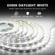 dalattin_White/Warm_White_LED_Strip_Lights,_16.4FT/20FT/40FT/50FT_Dimmable_Super_Bright_24V_Led_Tape_Light_6500K_360_LEDs_Lights_for_Bedrooms,_Mirror,_Kitchen,_Home_Decoration