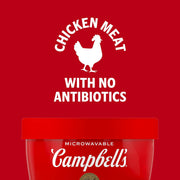 Campbell's_Homestyle_Chicken_Noodle_Soup,_15.4_Oz_Microwavable_Bowl