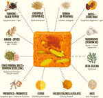 GEM_Daily_Multivitamin_for_Women_&_Men,_with_20+_Vitamins_&_Minerals_Like_zinc,_Vitamin_D,_B,_K,_Folic_Acid,_Turmeric,_Fiber_and_prebiotics,_Beta_Glucan_GLP-1_Support,_Brain,_&_Immunity_(7_Day_Trial)