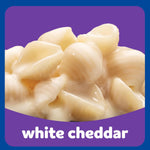 Kraft_White_Cheddar_Mac_&_Cheese_Macaroni_and_Cheese_Dinner_Pasta_Shells,_7.3_oz_Box