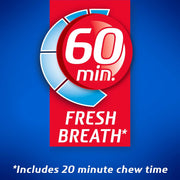 Dentyne_Ice_Winter_Chill_Sugar-Free_Chewing_Gum,_9_Packs_of_16_Pieces_(144_Total_Pieces)