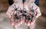 Happy_Hippo_Halloween_Spider_Web_Decoration,_200_Sqare_Feet_&_Plastic_Spiders,_Halloween_Party_Supplies,_Spider_Webs_(Small,_200_Sq_Feet)_(8_Fake_Spiders_Included)