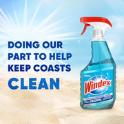 Windex_Glass_and_Window_Cleaner_Spray_Bottle,_Bottle_Made_from_100%_Recycled_Plastic,_Surface_Cleaning_Spray,_Original_Blue_Scent,_23_Fl_Oz_(Pack_of_2)