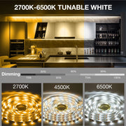 DAYBETTER_Under_Cabinet_Lights,_6_PCS_Under_Cabinet_Lighting_with_Remote,_Dimmable_LED_Strip_Lights_for_Bedroom,_LED_Lights_for_Kitchen_Cabinet,_Counter_Shelf_2700K-6500K_Warm_to_Daylight_White,_9.8ft