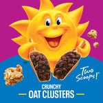 Kellogg's_Raisin_Bran_Crunch_Breakfast_Cereal,_Good_Source_of_Fiber,_Giant_Size,_24.5_oz