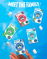 Milliways_Mighty_Mint_|_Plastic_Free_Gum_|_Xylitol,_Aspartame-Free,_Sugar-Free,_Plant-Based,_Natural_Chewing_Gum_|_40_Pieces_Total_(4_Packs_of_10_Pieces)