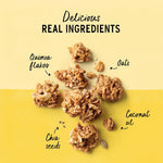 Purely_Elizabeth,_Organic_Original,_Ancient_Grain_Granola,_Gluten-Free,_Non-GMO_(12oz_Bag)