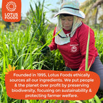 Lotus_Foods_Organic_Millet_and_Brown_Rice_Ramen_Noodles_-_Gluten_Free_Instant_Ramen_Noodles,_Vegan,_Low_Sodium,_Made_with_Brown_Rice_Flour_and_Millet_Flour,_Ready_in_4_Minutes_-_10_Oz_Bag_(Pack_of_1)