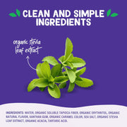 Pyure_Organic_Caramel_Dessert_Syrup_|_Sugar-Free_Caramel_Topping_for_Keto_Ice_Cream,_Pancakes,_Low_Carb_Sweets_|_1g_Net_Carb,_Gluten-Free,_Vegan,_Non-GMO,_Plant-Based,_Diabetic_Friendly_|_14_oz