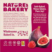 Nature's_Bakery_Raspberry_Fig_Bar,_6_Count,_2_Ounce