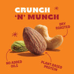Back_to_Nature_Premium_Nut_Mix_-_Cashew,_Almond_&_Pistachio_Blend,_Dry_Roasted_with_Sea_Salt,_Non-GMO_High_Protein_Snacks,_9_Ounce