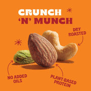 Back_to_Nature_Premium_Nut_Mix_-_Cashew,_Almond_&_Pistachio_Blend,_Dry_Roasted_with_Sea_Salt,_Non-GMO_High_Protein_Snacks,_9_Ounce