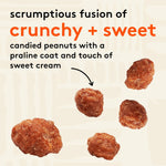 Snak_Club_Toffee_Peanuts,_Candied_Peanuts_with_Praline_Coat_and_Sweet_Cream,_Gluten-Free_and_Kosher_Snack,_17_oz_Resealable_Bag