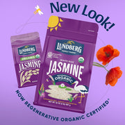 Lundberg_Family_Farms_Organic_Jasmine_Rice,_California_White,_32_Ounce