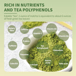 TIAN_HU_SHAN_Matcha_Green_Tea_Powder_3.5oz/100g,_Pure_Matcha_Powder_Culinary_Grade_Unsweetened_for_Lattes,_Cooking,_Baking,_Vegan_100%_Natural_（Package_May_Vary)