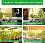 LED_Grow_Light_Strips,_Grow_Lights_for_Indoor_Plants_Full_Spectrum_3000K/3500K,_Plant_Light_with_3/9/12H_Timer,_10_Dimmable_Levels_for_Seedling_Succulent,1_Strip/2_Strip/3_Strip/4_Strip