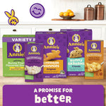 Annie's_Organic_Bees,_Bugs,_and_Butterflies_Fruit_Flavored_Snacks,_10_Pouches,_7_oz