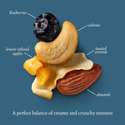 Sahale_Snacks_Berry_Macaroon_Almond_Trail_Mix,_7_oz_Pouches_(1_Pack)_-_Dry-Roasted_Deluxe_Mixed_Nuts_-_Coconut,_Blueberries_&_Apples_-_Non-GMO,_Kosher_Trail_Mix_&_Certified_Gluten-Free_Snacks