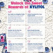 Bubblegum_Kids_Barry’s_Scary_Berry_Chiclet_Gum_|_Halloween_Candy_|_Sugarless_Gum_|_Vegan,_Peanut_Free,_Low_Calorie_Chewing_Gum_|_Candy_Alternative_for_Kids_&_Adults_|_1_Pack