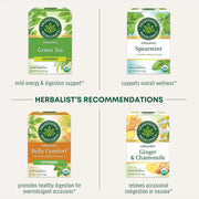 Traditional_Medicinals_Tea,_Organic_Triple_Mint,_Supports_Healthy_Digestion,_Includes_16_Tea_Bags