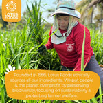 Lotus_Foods_Organic_Brown_Rice_Pad_Thai_Noodles_-_Asian_Style_Noodles_for_Stir_Fry,_Gluten_Free,_Vegan,_Whole_Grain,_Non_GMO,_Serve_Hot_or_Cold_-_8_Oz_(Pack_of_1)