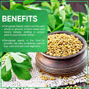 Jiva_Organic_Fenugreek_Seeds_7_Ounce_–_Non-GMO,_Gluten_Free,_All_Natural_Fenugreek_Spice_–_Organic_Fenugreek_Seeds_for_Hair_Growth,_Cooking_&_Sprouting_-_Methi_Seeds_for_Methi_Dana_Water_-_Raw_&_Natural,_Product_of_India