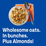 Honey_Bunches_of_Oats_with_Almonds_Breakfast_Cereal,_Honey_Cereal_with_Granola_Clusters_and_Sliced_Almonds,_Family_Size,_18_OZ_Box