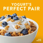 Nature_Valley_Protein_Granola,_Oats_and_Honey_Granola,_Resealable_Snack_Pouch,_11_oz