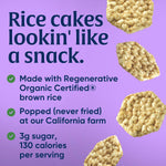 Lundberg_Minis_Apple_Pie_Organic_Rice_Cakes_5_Oz