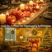 suddus_Indoor_Christmas_Lights_with_Remote,_Warm_White_String_Lights_Plug_in_with_Timer,_33ft_100_LED_Twinkle_Fairy_Lights_for_Bedroom_Xmas_Tree_Wreath_Garden_Party_Outdoor_Thanksgiving_Decorations