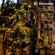 echosari_2_Pack_Battery_Operated_Christmas_Lights_Green_Wire_50_LED_Fairy_String_Light_with_Remote,_Timer,_Dimmable_for_Xmas_Tree_Wedding_Party_Decor