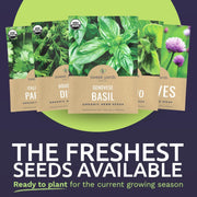 Organic_Herb_Seeds_Variety_Pack_-_10_Individual_Packs_-_2025_Season_-_Basil,_Cilantro,_Dill,_Thyme,_Parsley_and_More!_for_Indoor_&_Outdoor_Planting_(Non-GMO,_Certified_Organic)