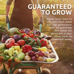 Organic_Herb_Seeds_Variety_Pack_-_10_Individual_Packs_-_2025_Season_-_Basil,_Cilantro,_Dill,_Thyme,_Parsley_and_More!_for_Indoor_&_Outdoor_Planting_(Non-GMO,_Certified_Organic)