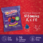 Funables_Fruity_Snacks,_Mixed_Berry_Flavored_Snacks,_0.8_oz_22_ct