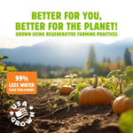 Top_Fox_Snacks_Pumpkin_Seeds_to_Eat_(Chile_Lime,_3.5_oz_–_2_Pack)_-_Gluten_Free_Snacks,_Healthy_Protein_Snacks,_Keto_Friendly_Snacks,_Allergen_Free_Snacks,_Paleo_&_Vegan_-_Organic_Pop-Roasted