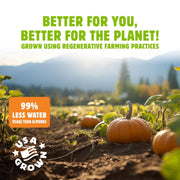 Top_Fox_Snacks_Pumpkin_Seeds_to_Eat_(Chile_Lime,_3.5_oz_–_2_Pack)_-_Gluten_Free_Snacks,_Healthy_Protein_Snacks,_Keto_Friendly_Snacks,_Allergen_Free_Snacks,_Paleo_&_Vegan_-_Organic_Pop-Roasted